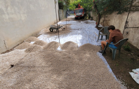 Terrassement de terrain 